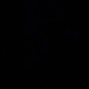 Meet your Posher, Francisco